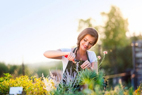 Professionally trimmed hedges in a Wood Green garden