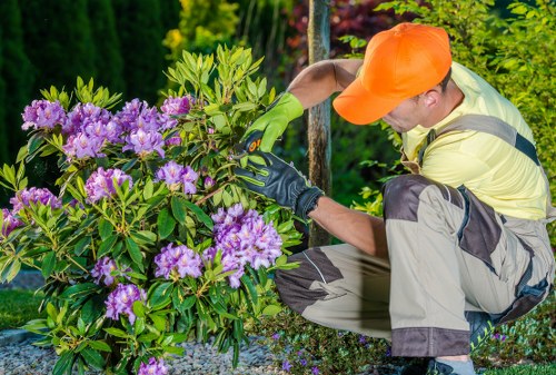 Pruning tools and healthy plants in Wood Green garden