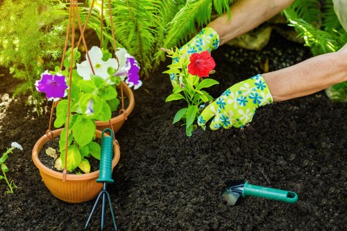 Garden clearance services in Wood Green