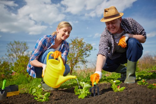 Experienced lawn care technicians at work