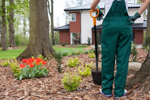Experienced hedge trimmers working in Wood Green