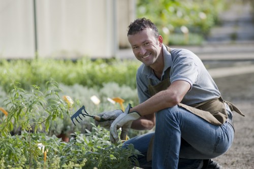 Customized hedge trimming solutions for local gardens
